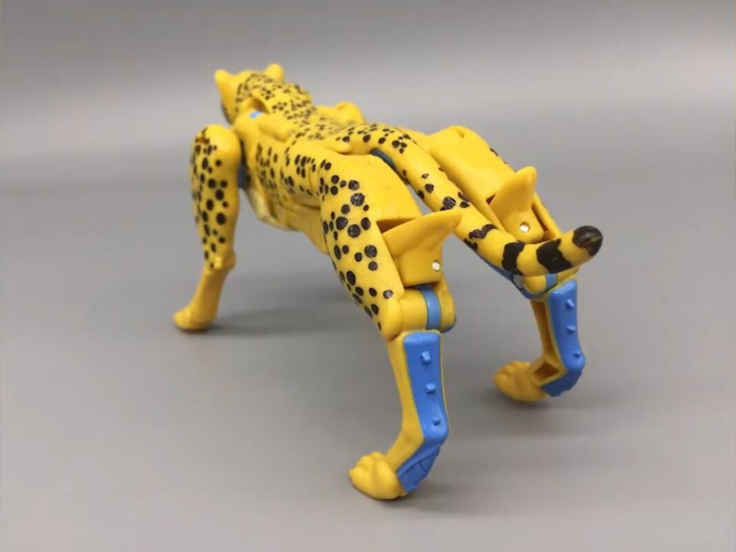 custom kingdom cheetor